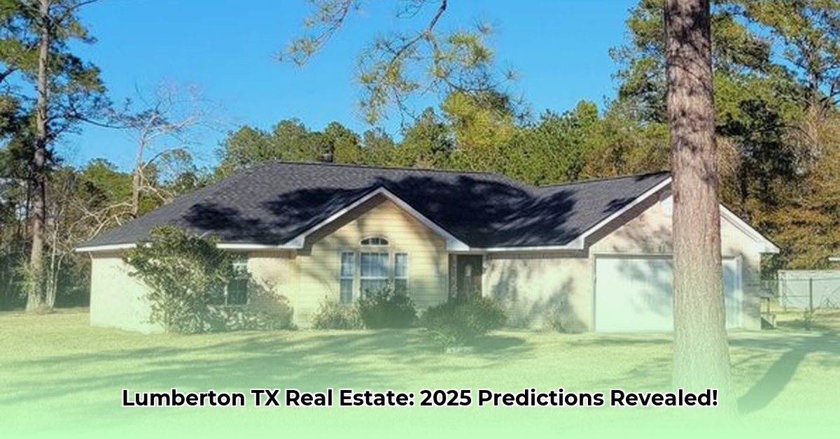 american-real-estate-lumberton-tx